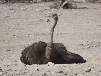 IMG_7392.jpeg IMG_7392.jpeg