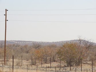 IMG_7397.jpeg IMG_7397.jpeg