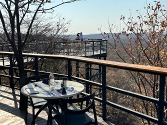 IMG_5225.jpeg IMG_5225.jpeg