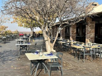 IMG_5226.jpeg IMG_5226.jpeg