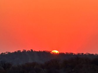 IMG_5256.jpeg IMG_5256.jpeg