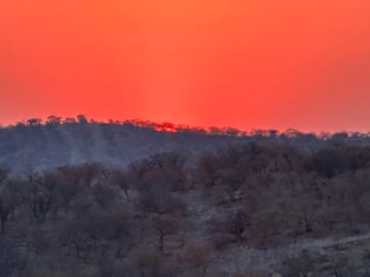 IMG_5259.jpeg IMG_5259.jpeg