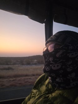 20240810_070403.jpg 20240810_070403.jpg