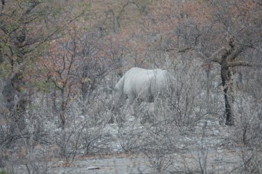 DSC09181.JPG DSC09181.JPG