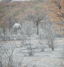 08101664.JPG 08101664.JPG