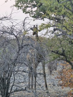 20240810_072607.jpg 20240810_072607.jpg