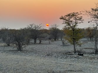 IMG_2525.JPG IMG_2525.JPG