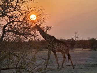 20240810_073223.jpg 20240810_073223.jpg