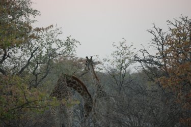 08101666.JPG 08101666.JPG