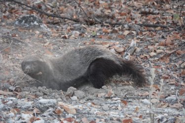 DSC09182.JPG DSC09182.JPG