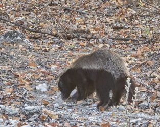 20240810_074804.jpg 20240810_074804.jpg