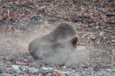 DSC09183.JPG DSC09183.JPG