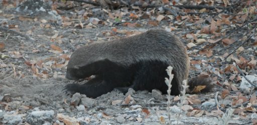 08101674.JPG 08101674.JPG