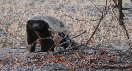 DSC09184.JPG DSC09184.JPG