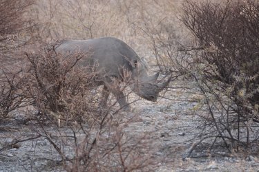 DSC09187.JPG DSC09187.JPG