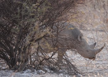 DSC09190.JPG DSC09190.JPG