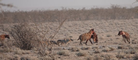 DSC09191.JPG DSC09191.JPG