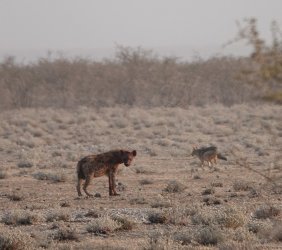 DSC09194.JPG DSC09194.JPG