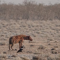 DSC09197.JPG DSC09197.JPG