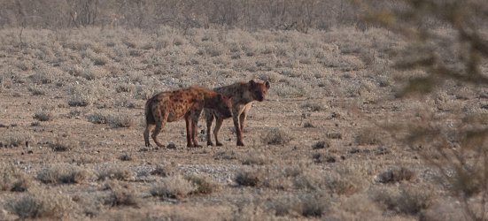 DSC09199.JPG DSC09199.JPG