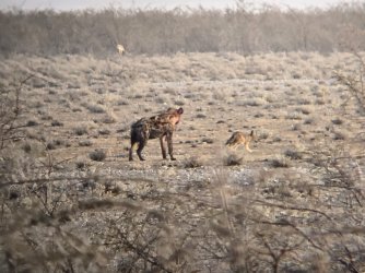 20240810_081311.jpg 20240810_081311.jpg