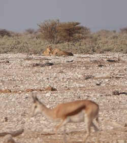 DSC09207.JPG DSC09207.JPG