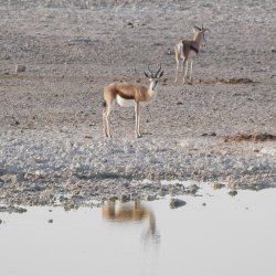 08101681.JPG 08101681.JPG