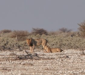 DSC09211.JPG DSC09211.JPG