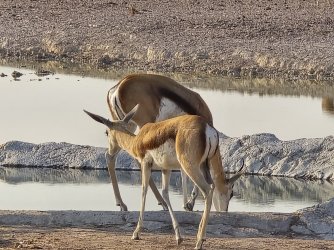 20240810_083644.jpg 20240810_083644.jpg