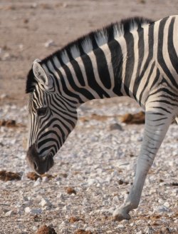 08101701.JPG 08101701.JPG