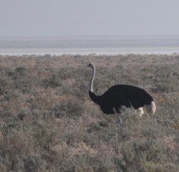 08101703.JPG 08101703.JPG