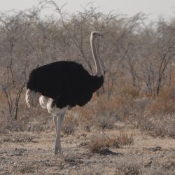 DSC09222.JPG DSC09222.JPG