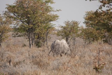 DSC09223.JPG DSC09223.JPG