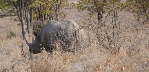 DSC09225.JPG DSC09225.JPG