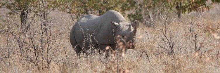 DSC09230.JPG DSC09230.JPG