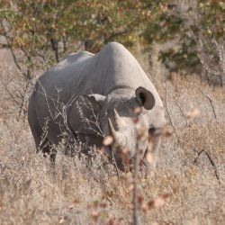 DSC09231.JPG DSC09231.JPG