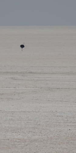 DSC09243.JPG DSC09243.JPG