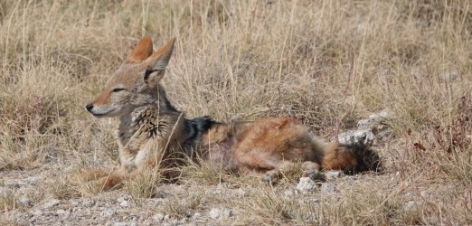 DSC09248.JPG DSC09248.JPG