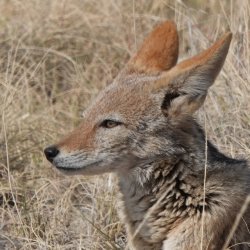 DSC09252.JPG DSC09252.JPG