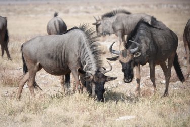 DSC09254.JPG DSC09254.JPG