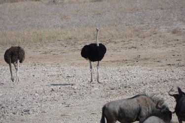 DSC09256.JPG DSC09256.JPG