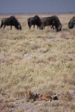 08101710.JPG 08101710.JPG