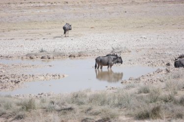 08101711.JPG 08101711.JPG