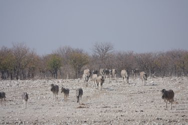 DSC09287.JPG DSC09287.JPG