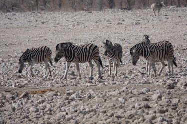 DSC09289.JPG DSC09289.JPG