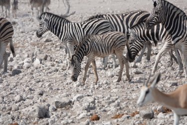 DSC09297.JPG DSC09297.JPG