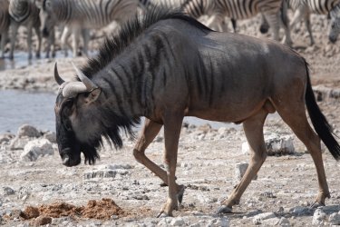 DSC09301.JPG DSC09301.JPG