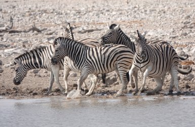 DSC09302.JPG DSC09302.JPG