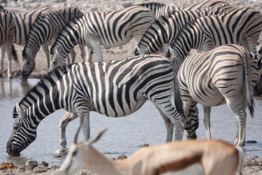 DSC09304.JPG DSC09304.JPG