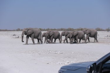 08101726.JPG 08101726.JPG